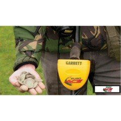 Garrett Euro Ace Define, Altın, Metal Dedektörü