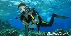 PulseDive Scuba Dedektör ve Pointer İkili Set Sarı