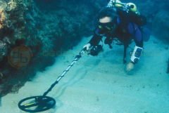 Sea Hunter Mark II Su Altı Dedektörü&Sahil Arama Dedektörü